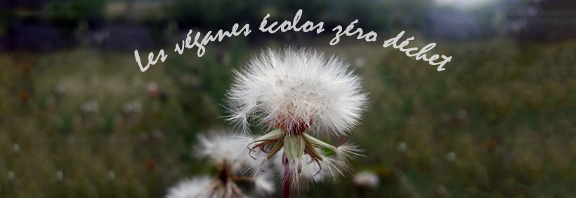 Couverture VEZD Pissanli